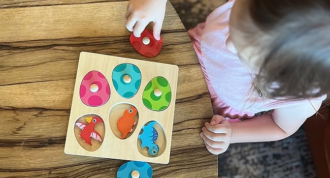 Pegged Puzzle Color Match